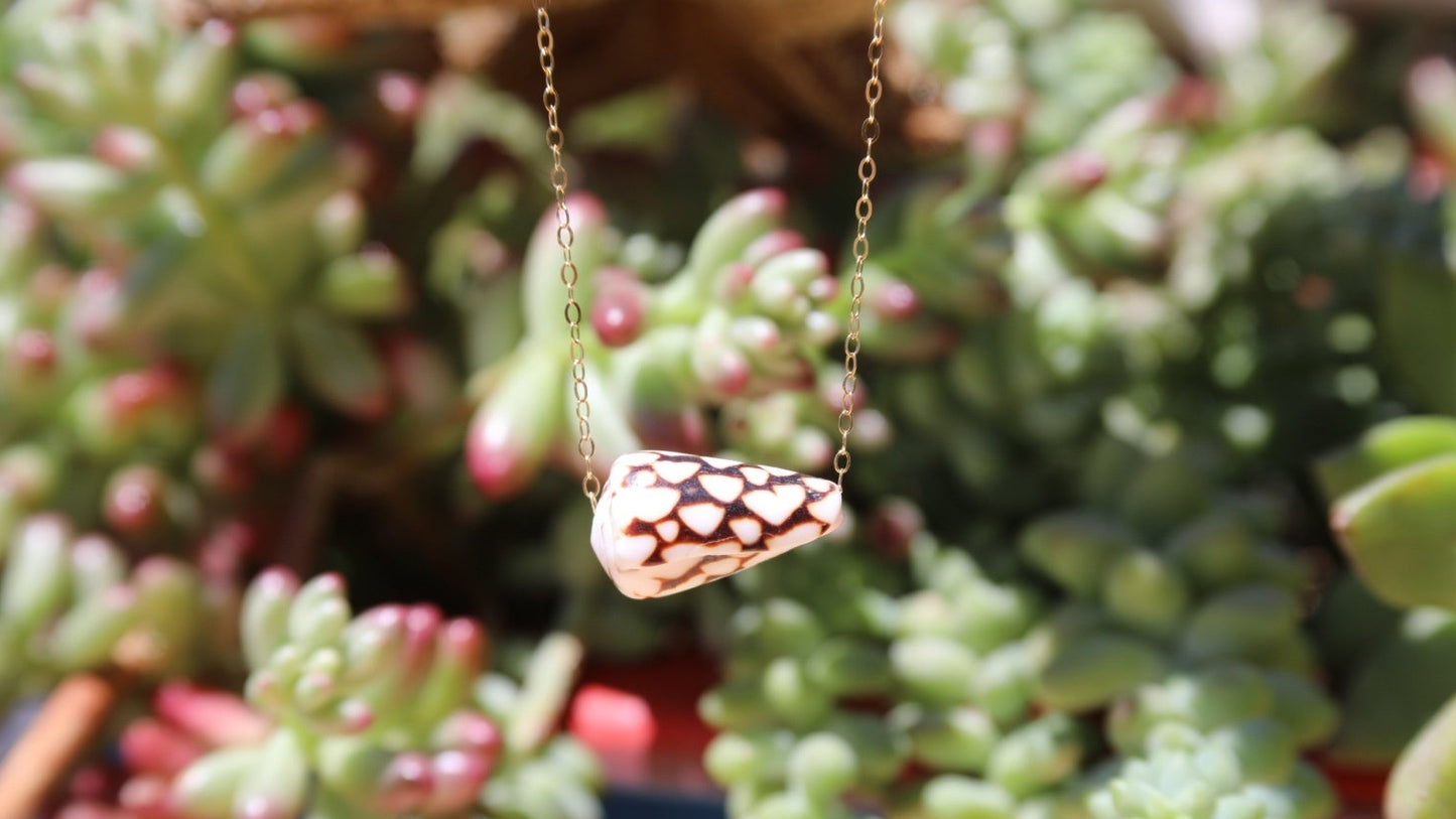 Natural Japanese Cone Shell Dainty Necklace