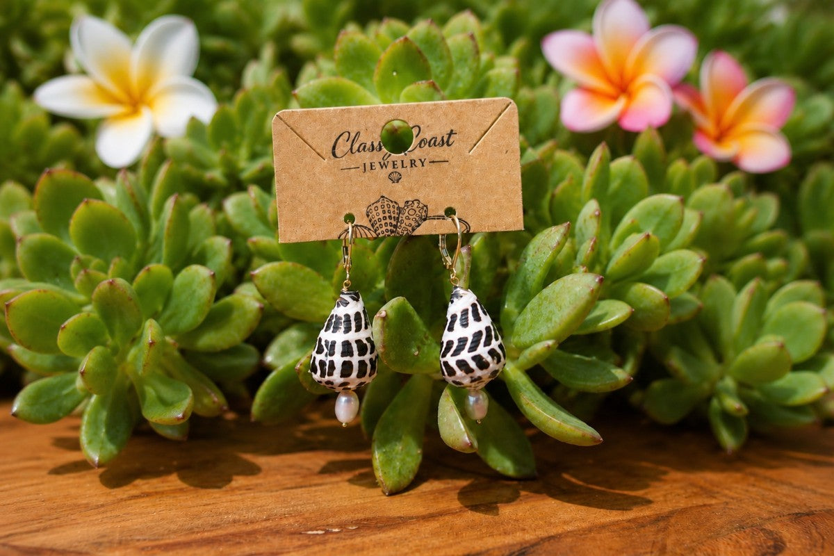 Natural Spotted Hawaiian Hebrew Cone Shell Earrings