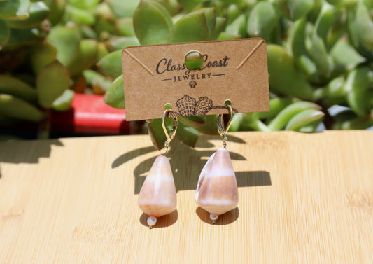 Hawaiian Striped Cone Shell Earrings