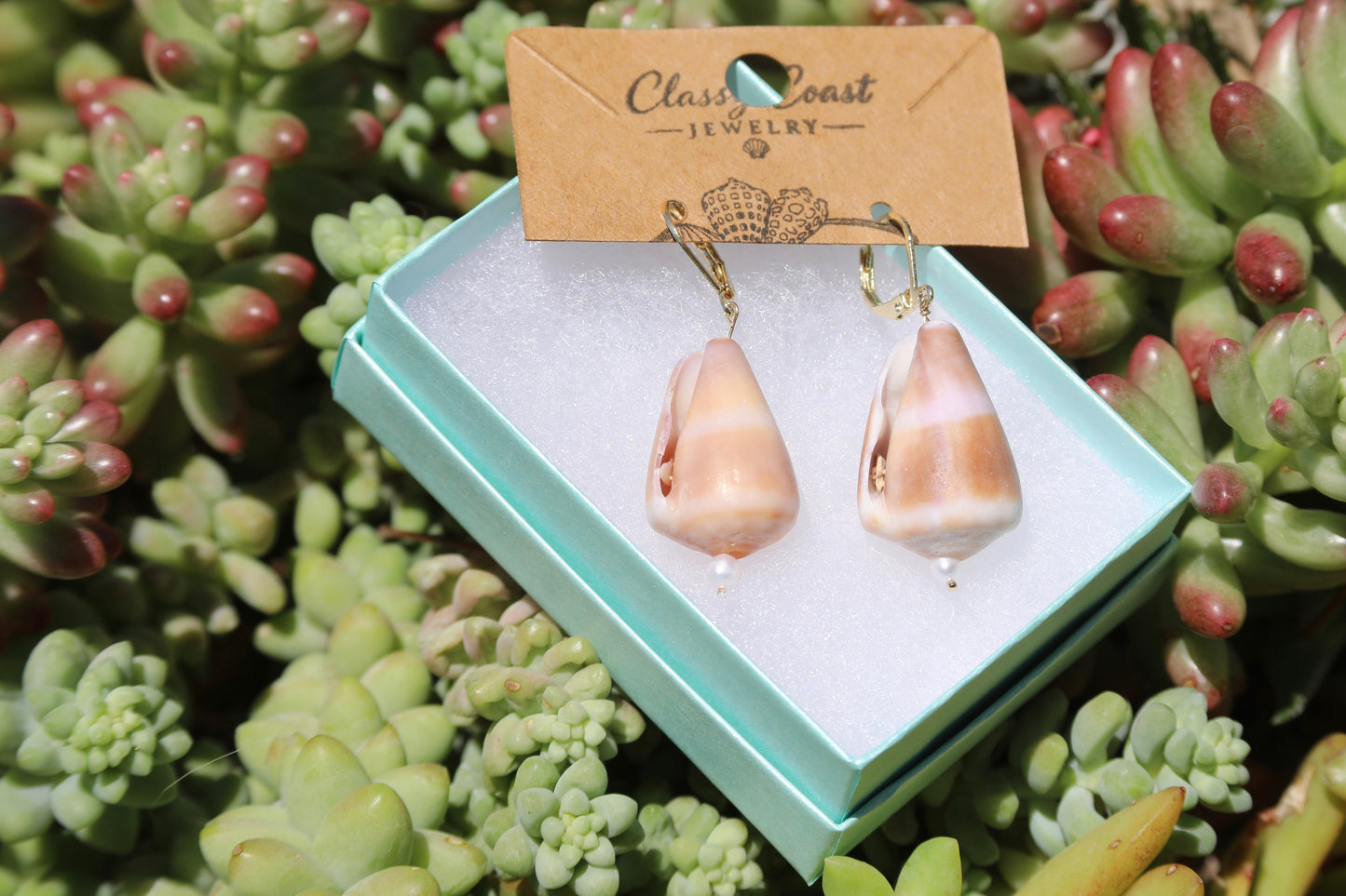Hawaiian Striped Cone Shell Earrings